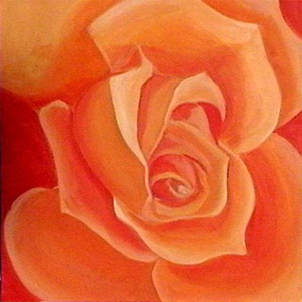 Orange Rose