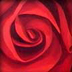 Red Rose